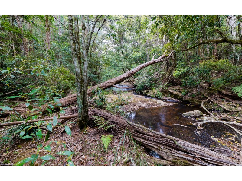Springbrook QLD 4213