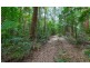 Springbrook QLD 4213