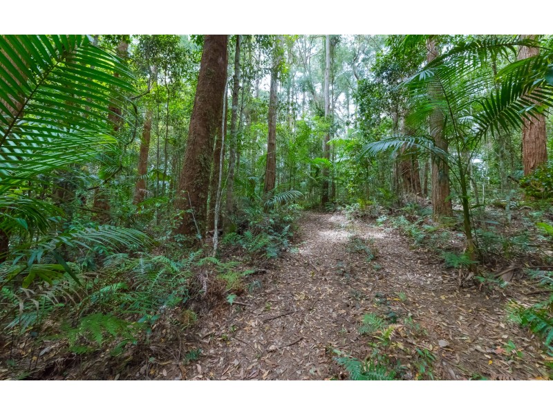 Springbrook QLD 4213