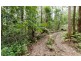 Springbrook QLD 4213