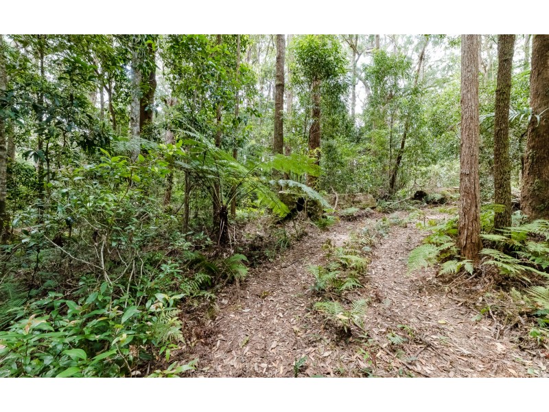 Springbrook QLD 4213