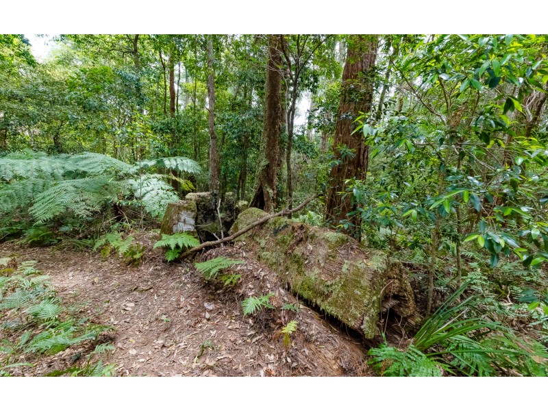 Springbrook QLD 4213