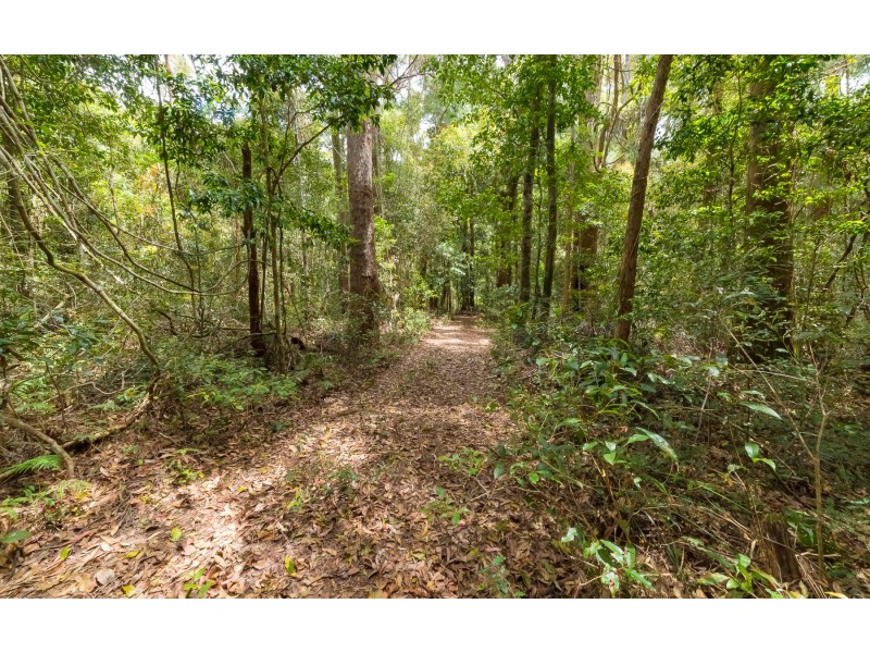 Springbrook QLD 4213