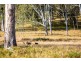 TOP DIAPER ROAD, Monsildale QLD 4515