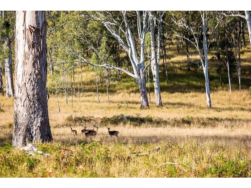 TOP DIAPER ROAD, Monsildale QLD 4515