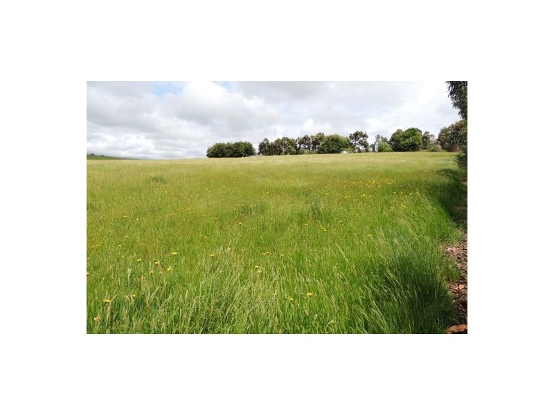 30 Rees Road, Jumbunna VIC 3951