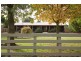 17 Cook Road, Longwarry VIC 3816