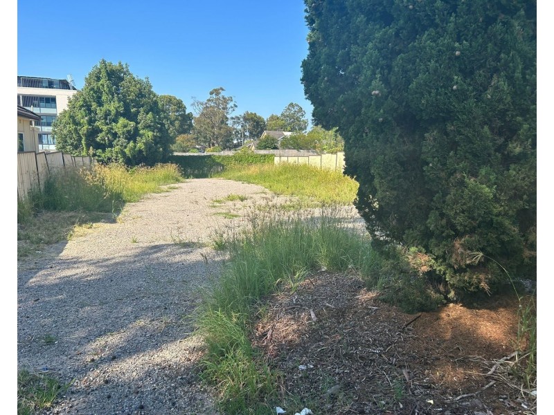 113 Waldron Road, Chester Hill NSW 2162