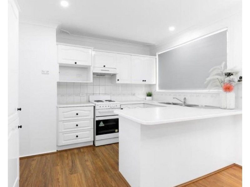 3 Allen Place, Minto NSW 2566