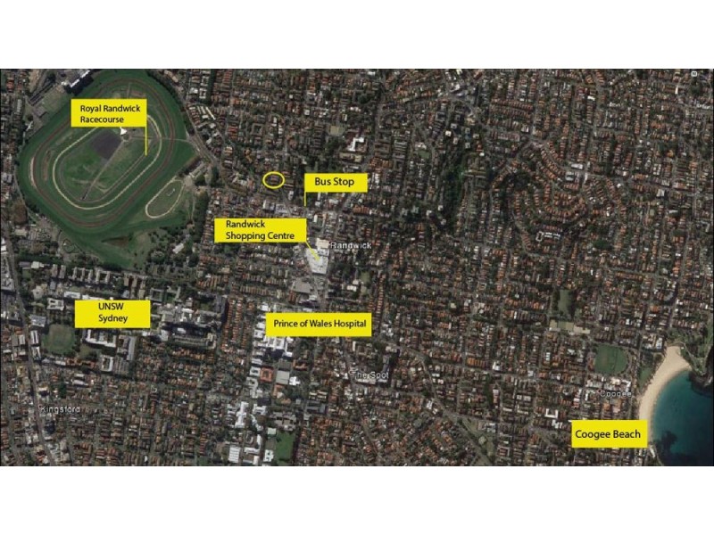 1/52 Cook Street, Randwick NSW 2031