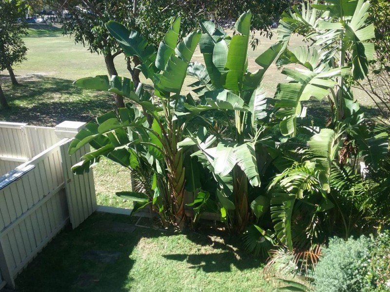 12/5 Wride street, Maroubra NSW 2035