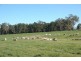 72 Bonny Rig Road, Quirindi NSW 2343