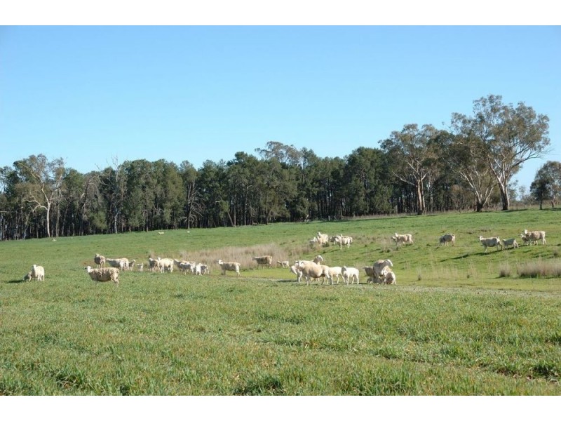 72 Bonny Rig Road, Quirindi NSW 2343
