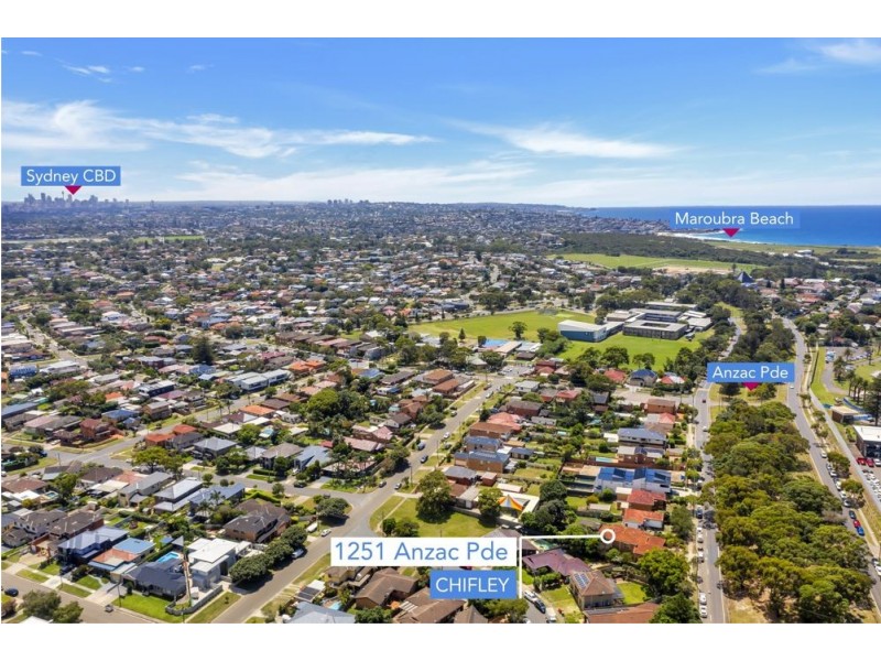 1251 Anzac Parade, Chifley NSW 2036