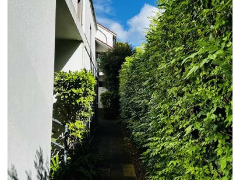 Unit 7/29 GEORGE Street, Marrickville NSW 2204