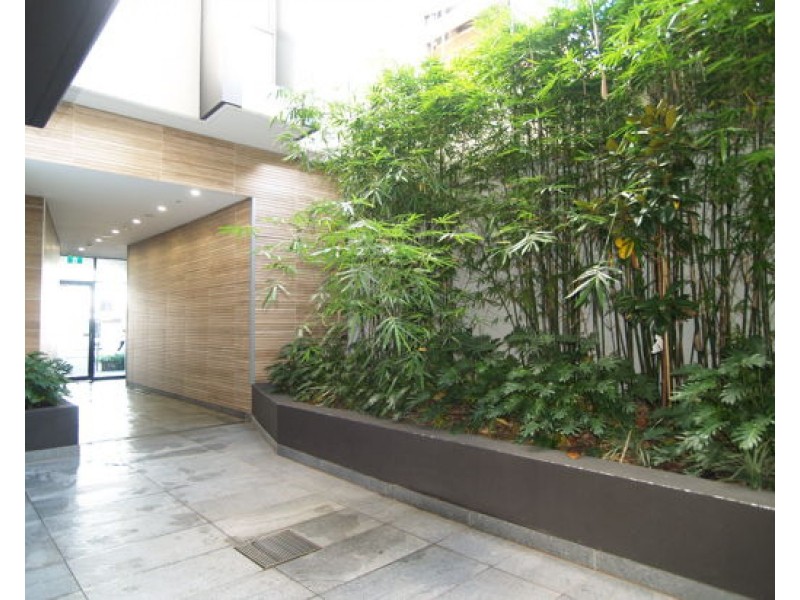3/111-115 New Canterbury Road, Petersham NSW 2049
