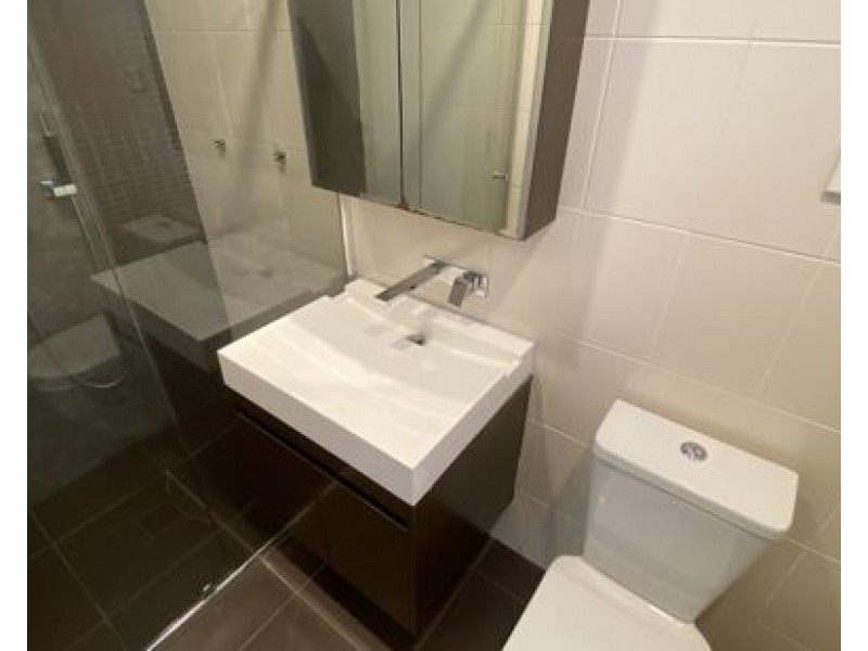 19 Bedford Street, Earlwood NSW 2206