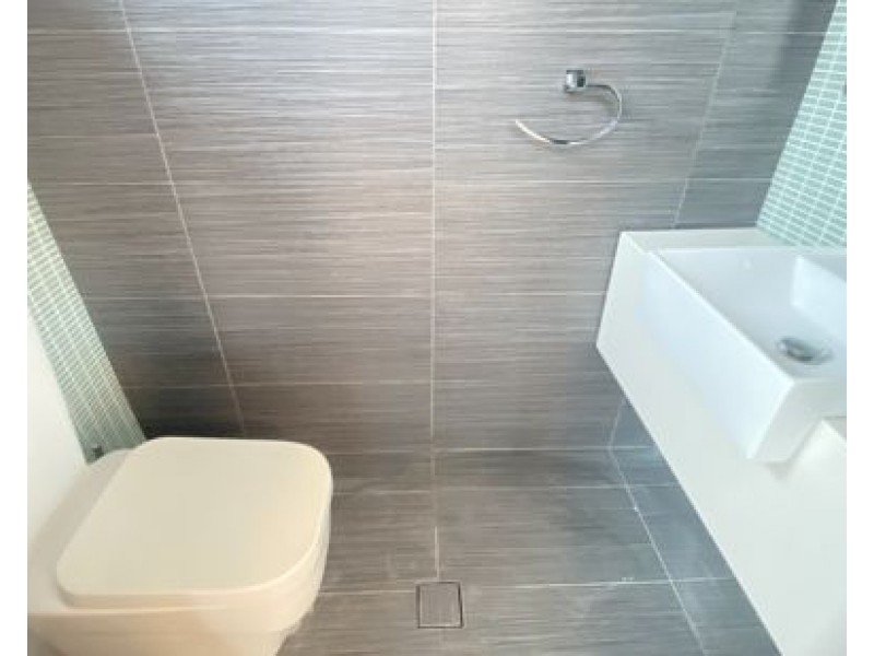 19 Bedford Street, Earlwood NSW 2206