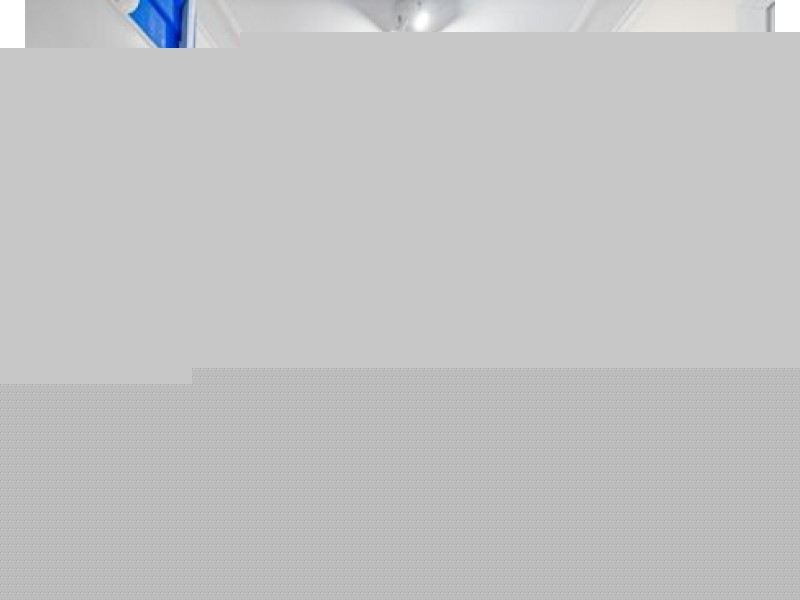 2/29 Middleton Street, Petersham NSW 2049