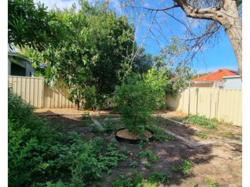 3 Cressy Street, Canterbury NSW 2193