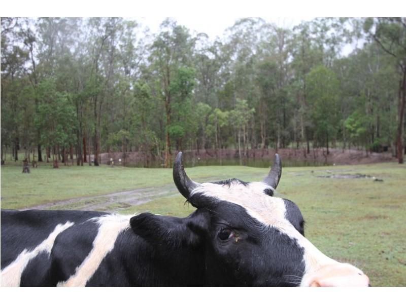 115-127 Farm Road,, Greenbank QLD 4124