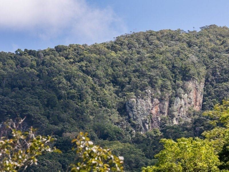 47 Red Peak Bvd, Caravonica QLD 4878