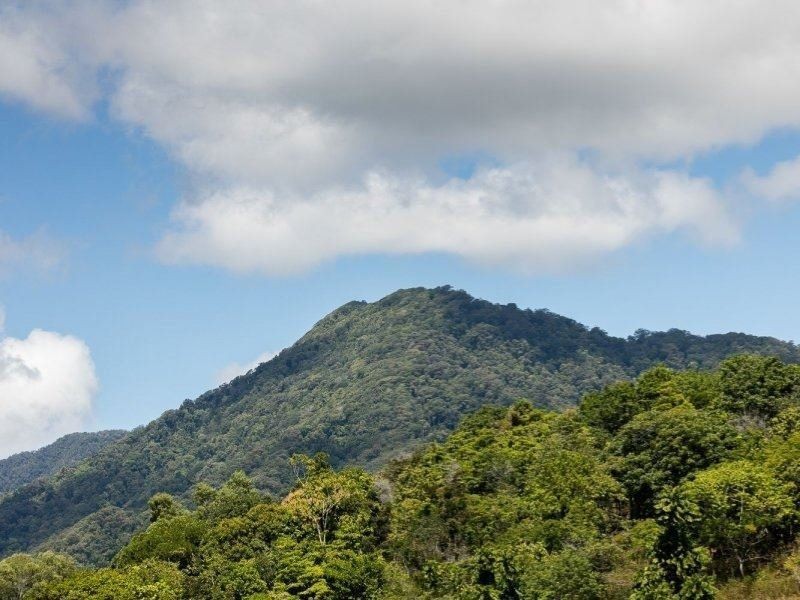 47 Red Peak Bvd, Caravonica QLD 4878