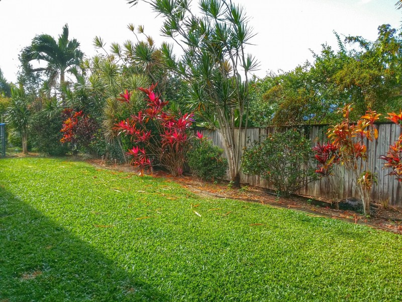 MacArthur Close, Palm Cove QLD 4879