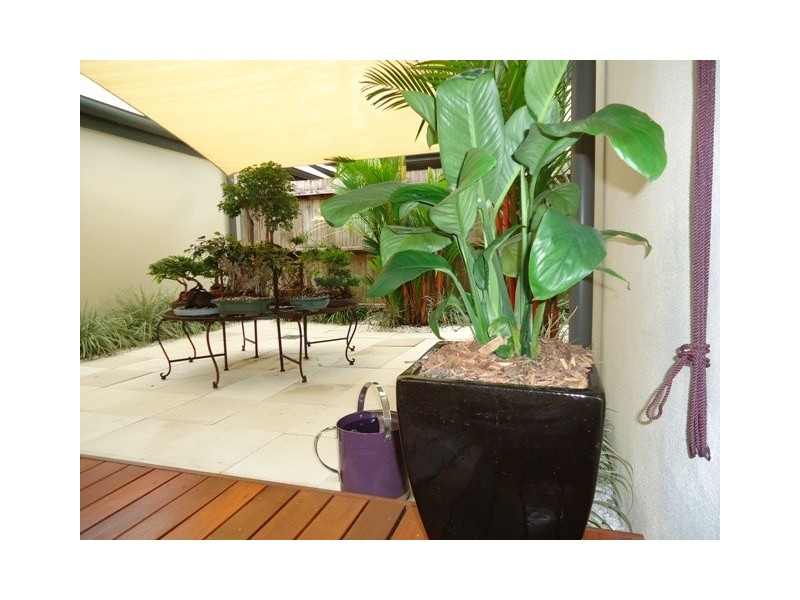 11/5-7 Arlington Esp (Lahania), Clifton Beach QLD 4879