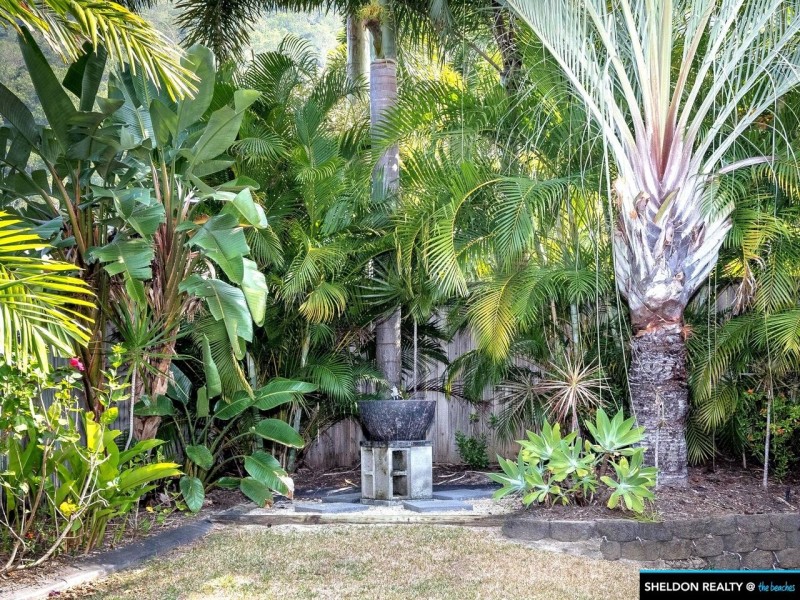 5 Everglades Street, Palm Cove QLD 4879