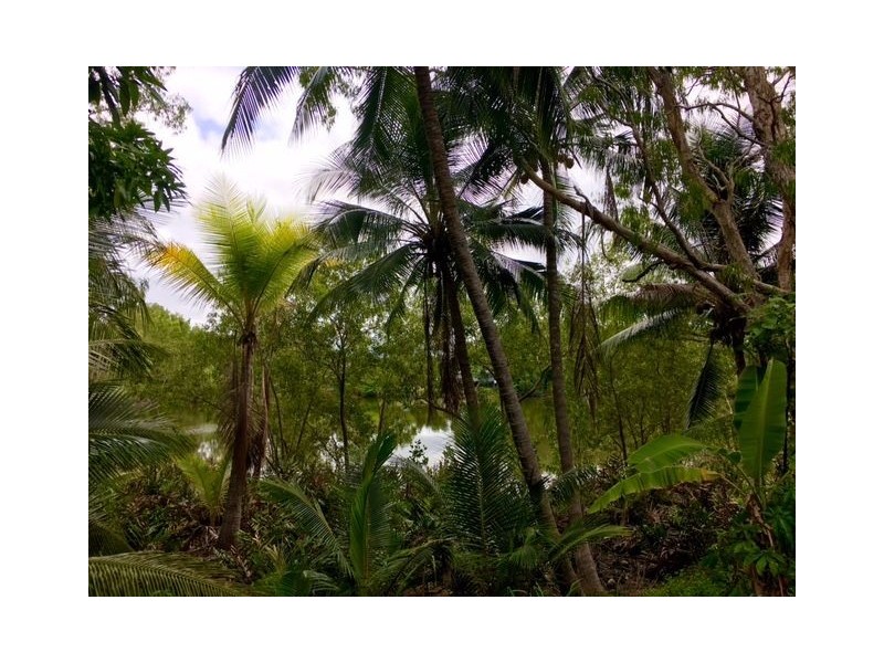 25 Walnut St., Holloways Beach QLD 4878