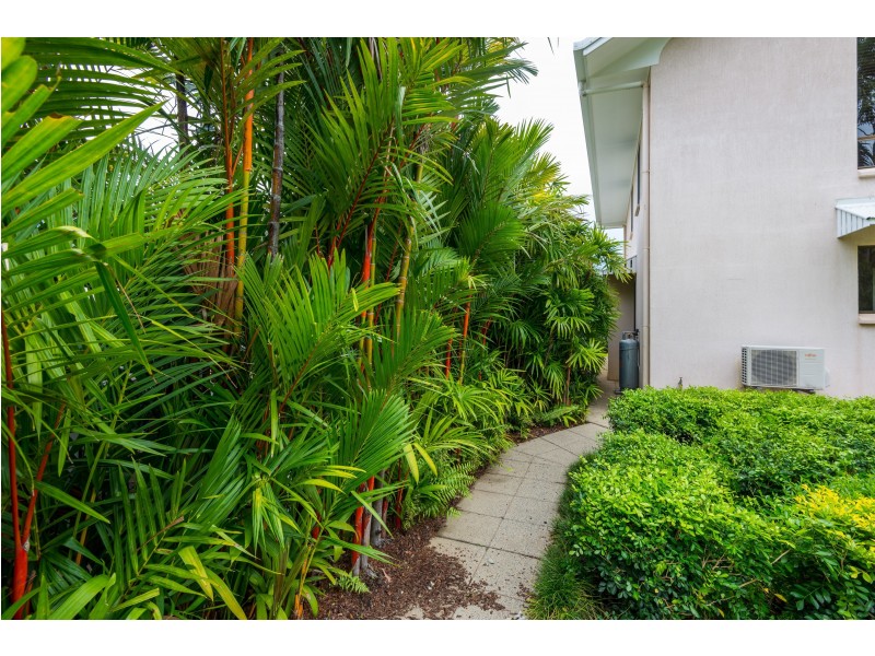 58 Cedar Rd, Palm Cove QLD 4879