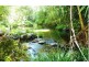 11 Butler Drive, Kuranda QLD 4881