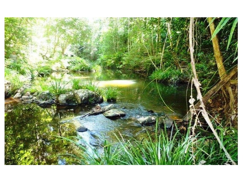 11 Butler Drive, Kuranda QLD 4881