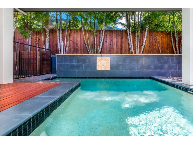 6 Palmetto Street, Palm Cove QLD 4879