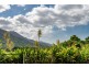 25 Willoughby Close, Redlynch QLD 4870