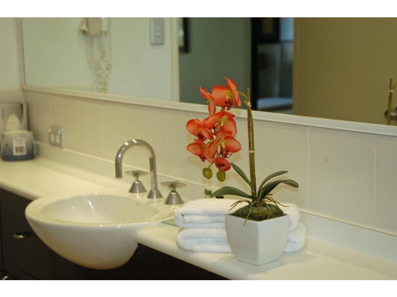 23 & 24/10-14 Amphora Street, Palm Cove QLD 4879