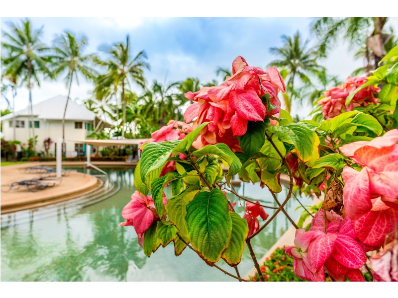 44/65-75 Vasey Esplanade, Trinity Beach QLD 4879