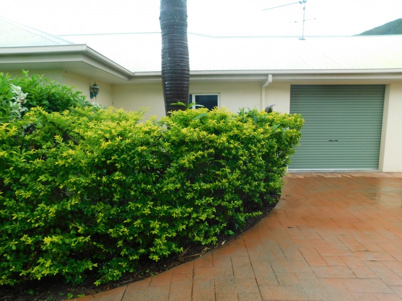 60 Cedar Road, Palm Cove QLD 4879