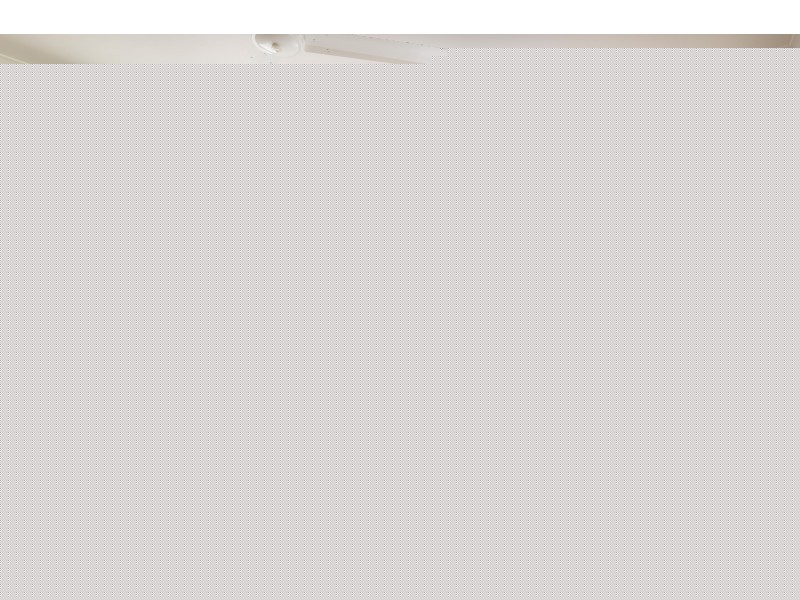 58 Cedar Rd, Palm Cove QLD 4879