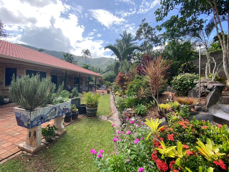 38 Timberlea Drive, Bentley Park QLD 4869