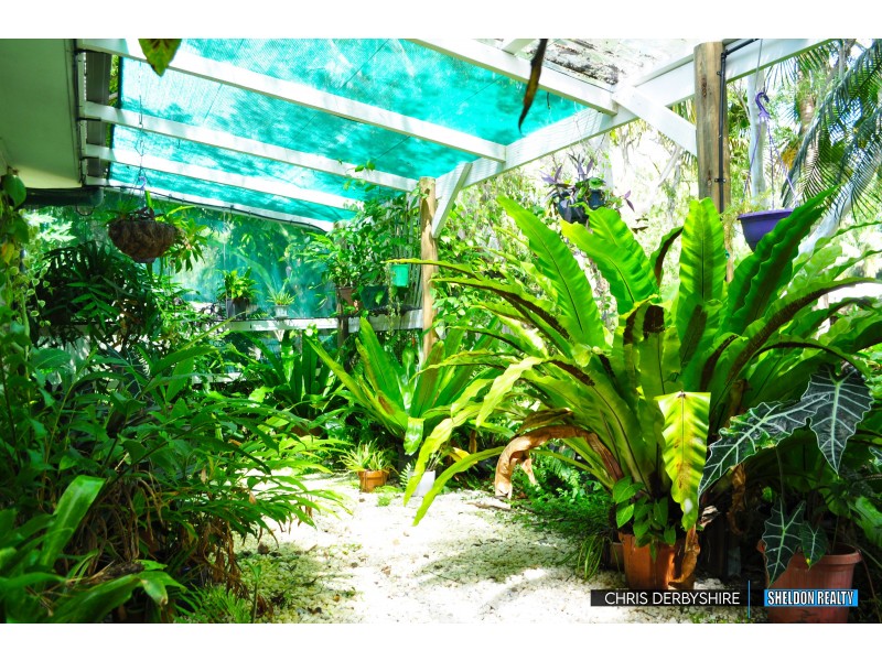 28 Oak Street, Holloways Beach QLD 4878