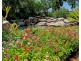 23 Thais Street, Palm Cove QLD 4879