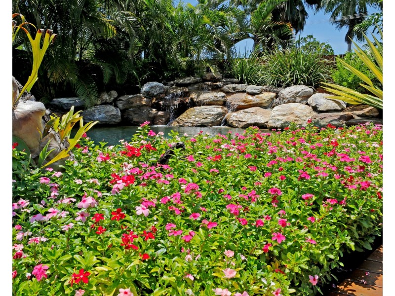 23 Thais Street, Palm Cove QLD 4879