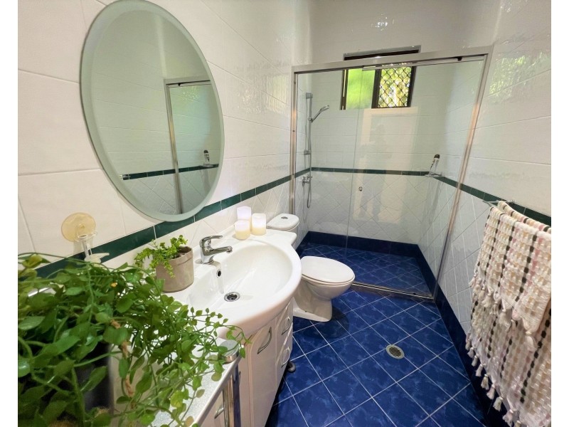 63 Terebra Street, Palm Cove QLD 4879