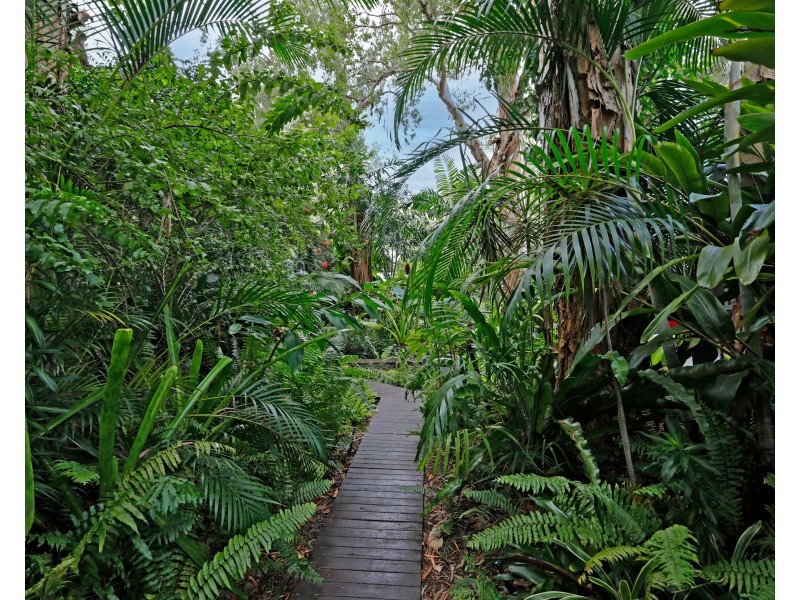 2 Linden Street, Clifton Beach QLD 4879
