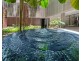 33/1 Marlin Parade, Cairns City QLD 4870