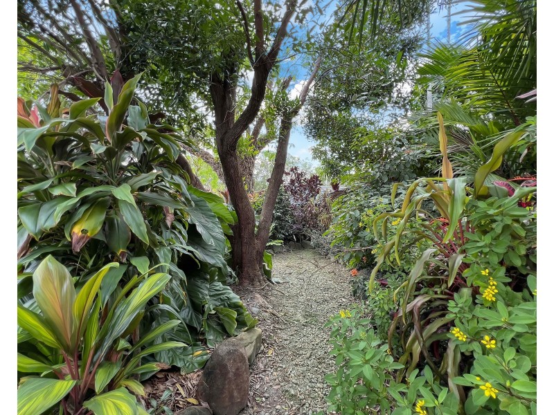 5 Boroko Close, Trinity Beach QLD 4879