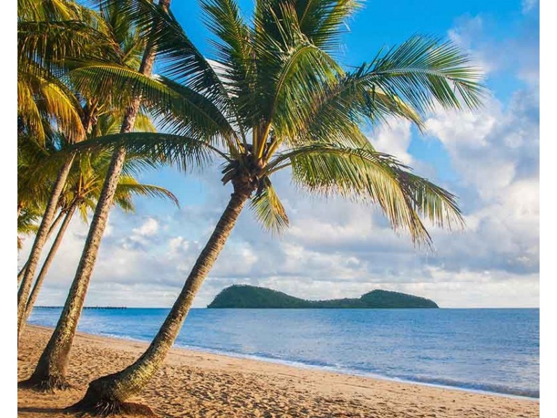 5/5-7 Amphora Street, Palm Cove QLD 4879