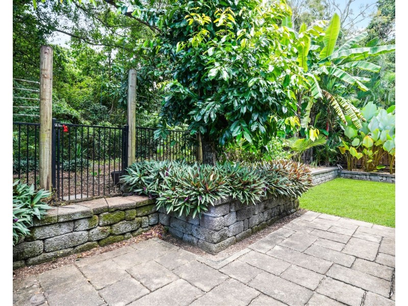 29 Muller Street, Palm Cove QLD 4879